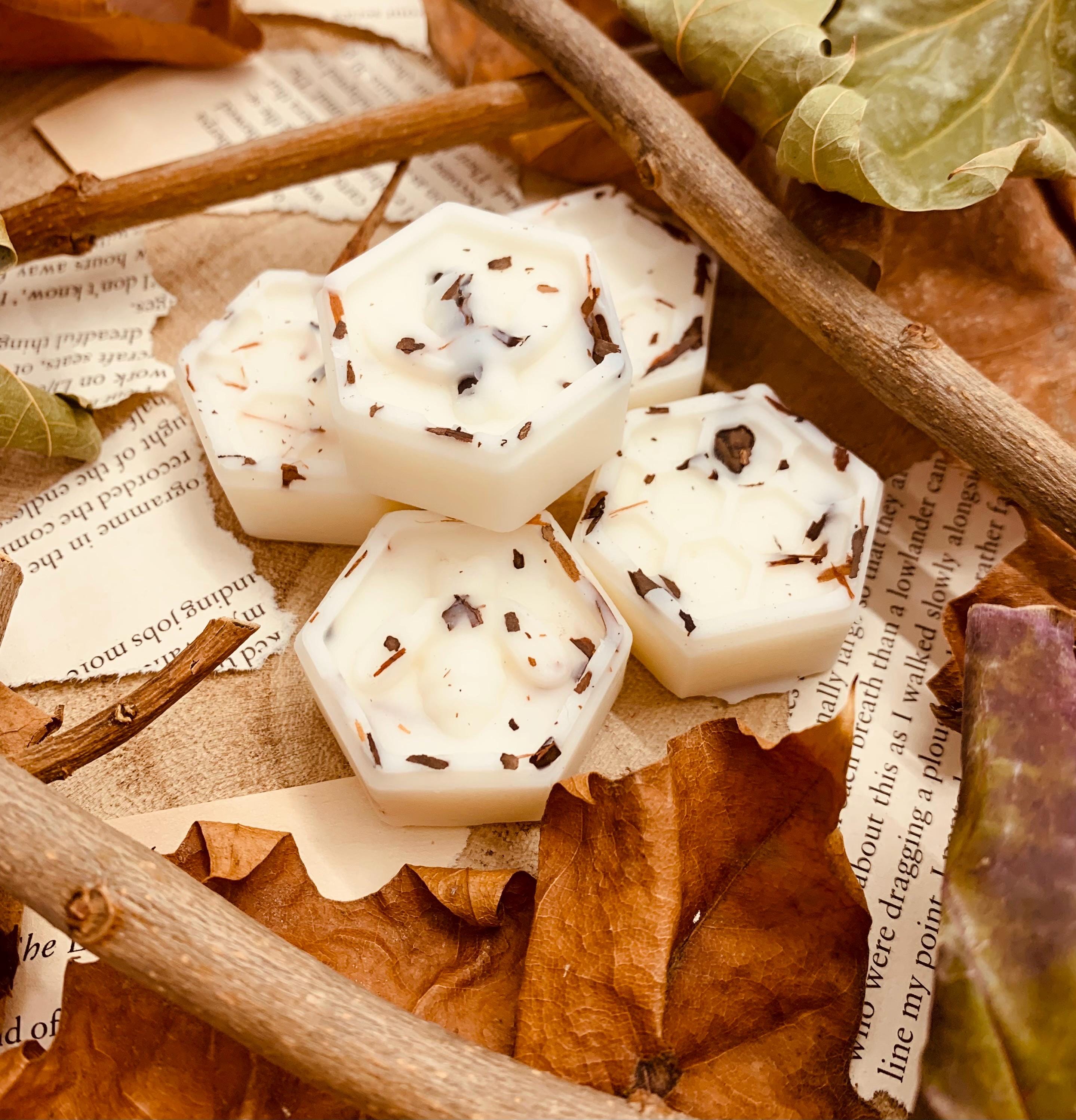 Vintage Bookstore Wax Melts