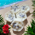 Coconut & Waterfall Blooms Wax Melts
