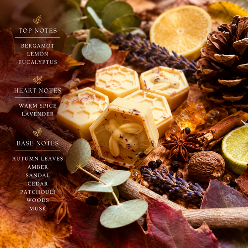 Autumn Leaves