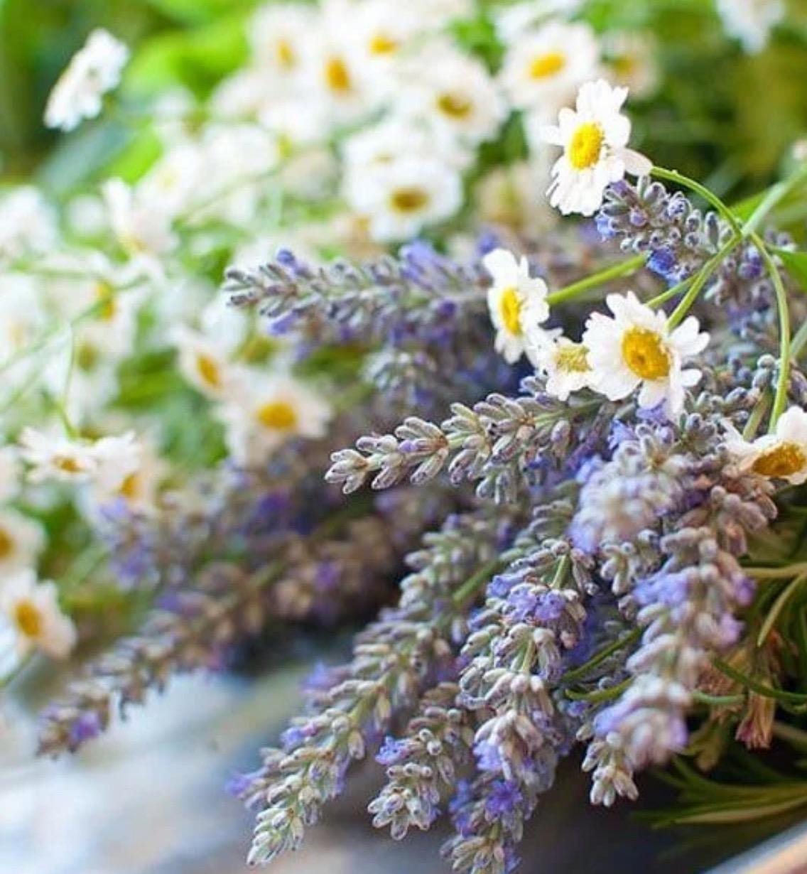 Lavender & Chamomile Wax Melts