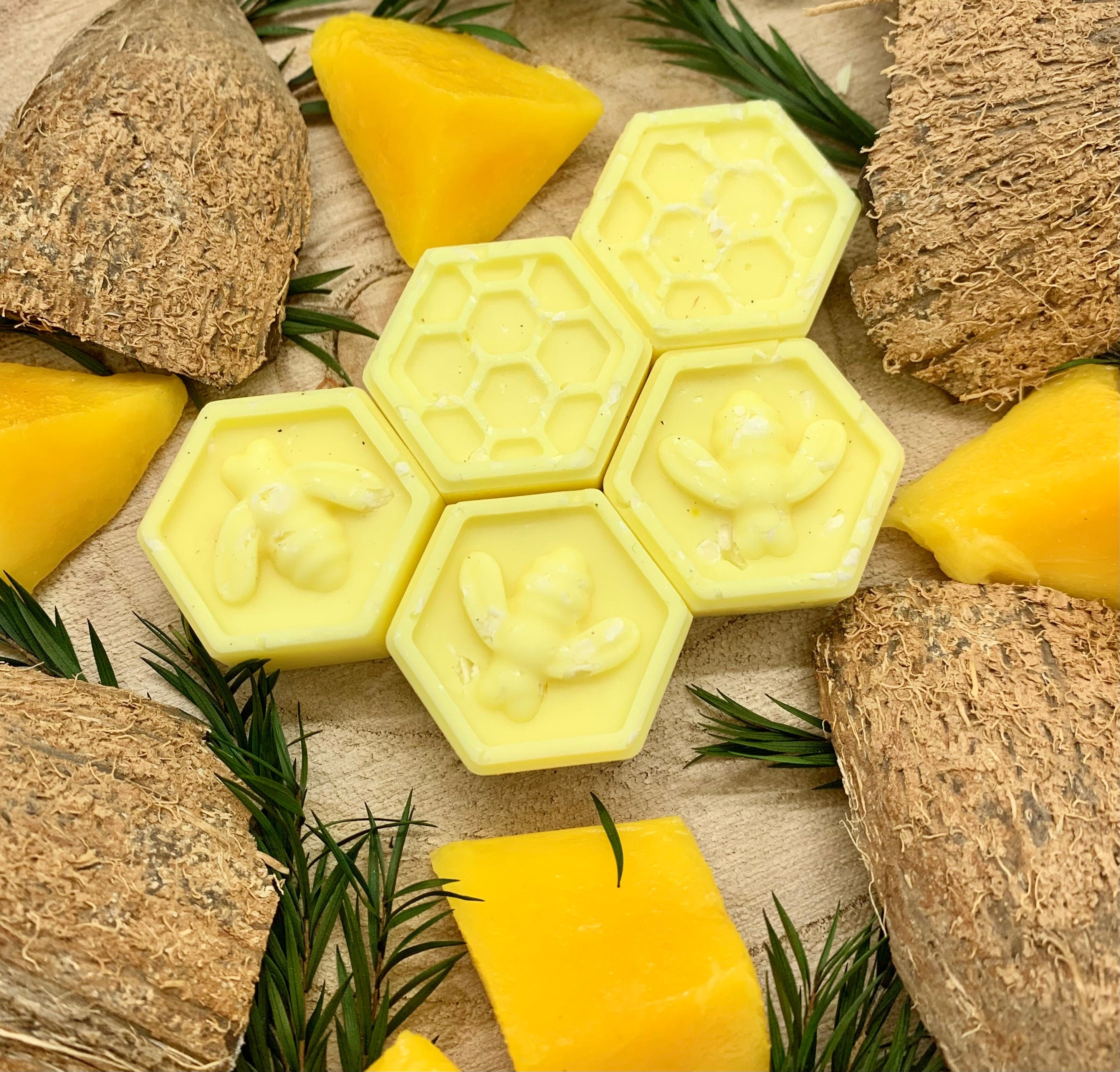 Mango Tango Wax Melts