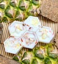 Pina Colada Wax Melts