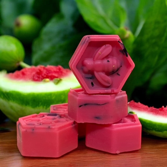 Tokyo Sorbet Wax Melts