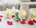 Aura Wax Melts