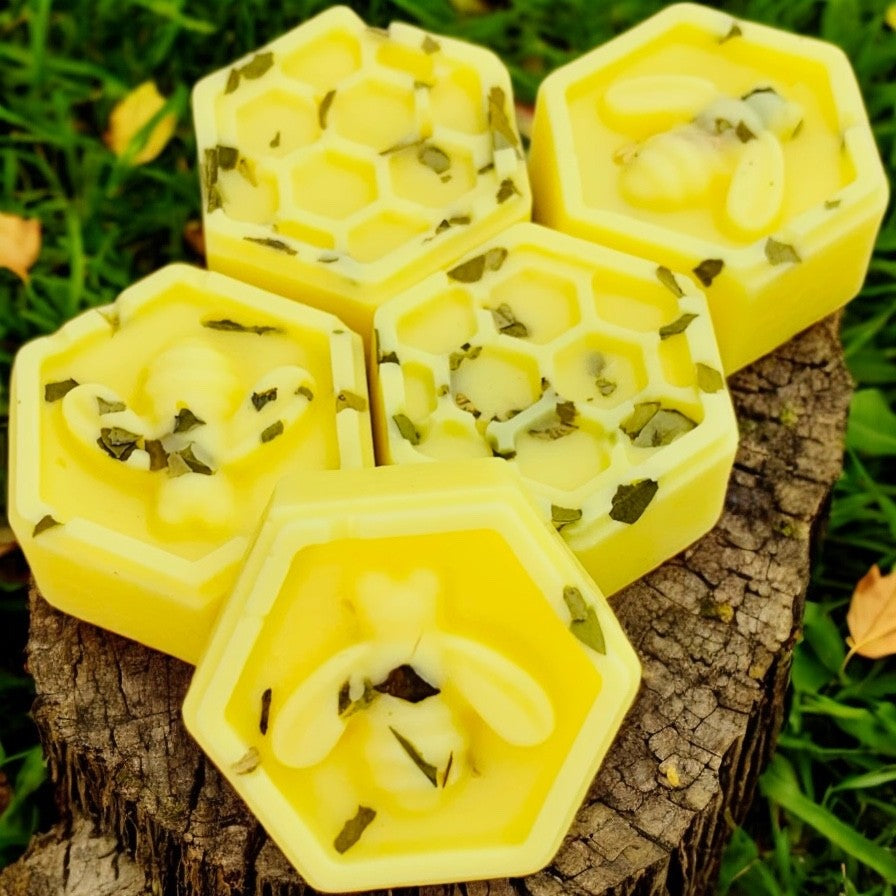 Citronella Wax Melts