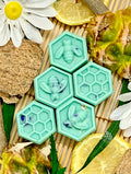 Amazon Rain Wax Melts